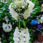 IMG-20251021-WA0146