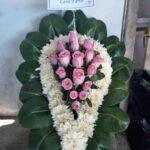 IMG-20251021-WA0151