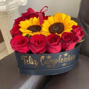 BOX CAJAS