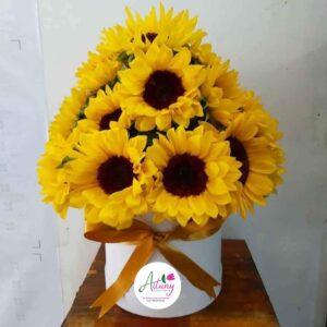 BOX CAJAS