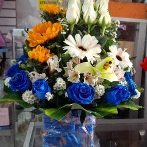 BOX CAJAS