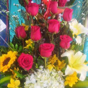 BOX CAJAS